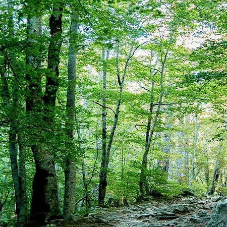 Restaurant U Castellu 3*