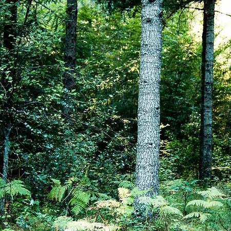 Restaurant U Castellu 3*