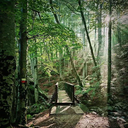 Restaurant U Castellu 3*