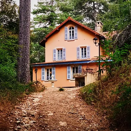 Restaurant U Castellu Hotel Vizzavona