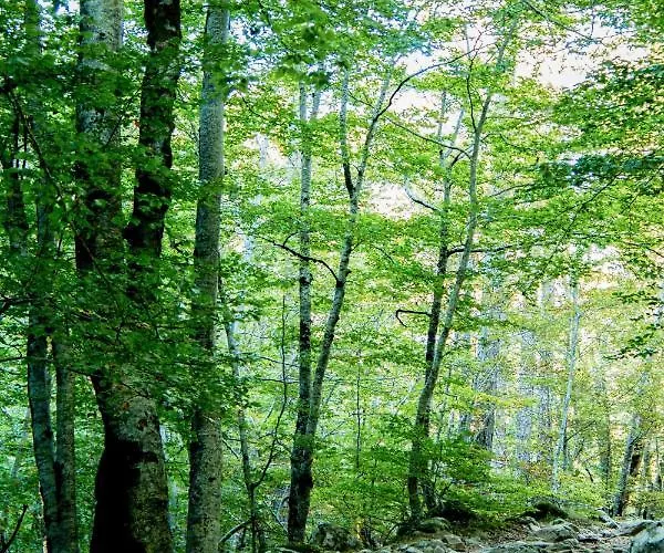 Restaurant U Castellu 3*