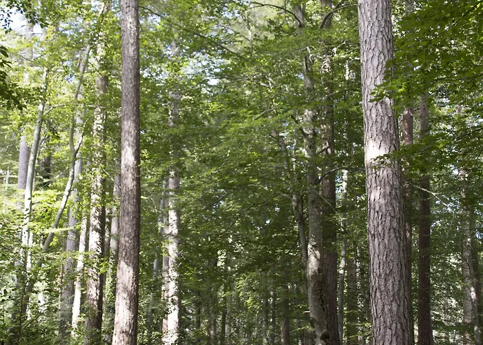 Ξενοδοχείο Restaurant U Castellu