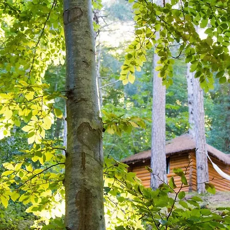 Hotel Restaurant U Castellu 3*