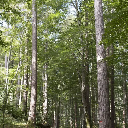 Отель Restaurant U Castellu