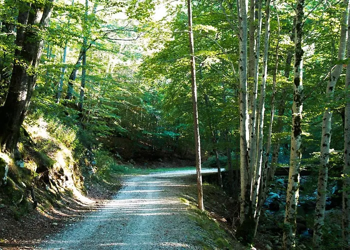 Restaurant U Castellu