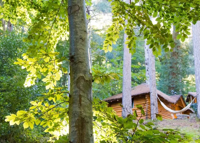 Hotel Restaurant U Castellu 3*