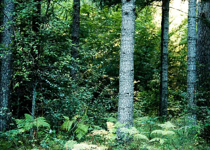 Restaurant U Castellu 3*