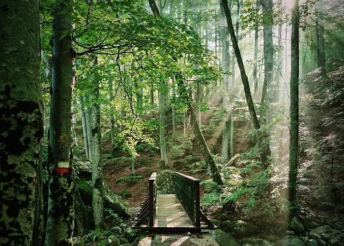 Restaurant U Castellu 3*