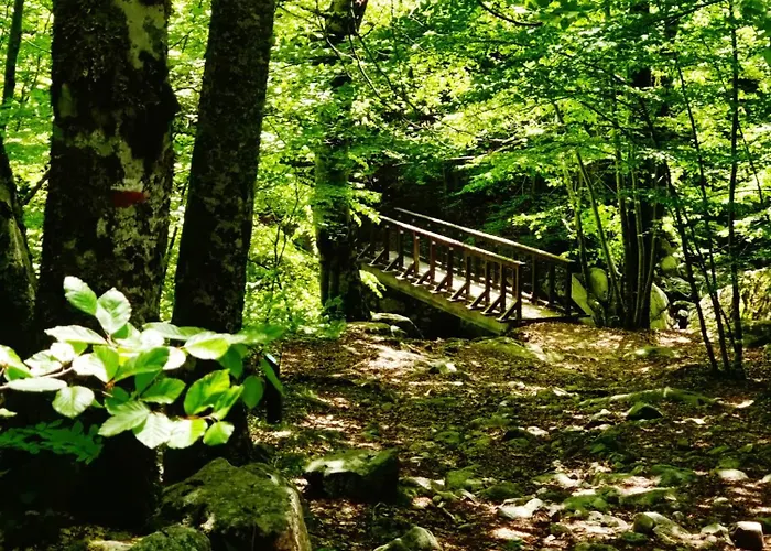 Restaurant U Castellu