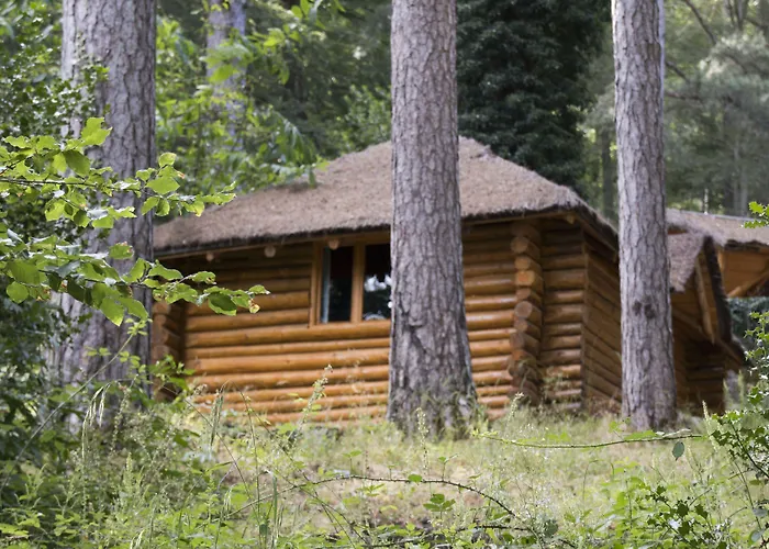 Restaurant U Castellu ויזאבונה