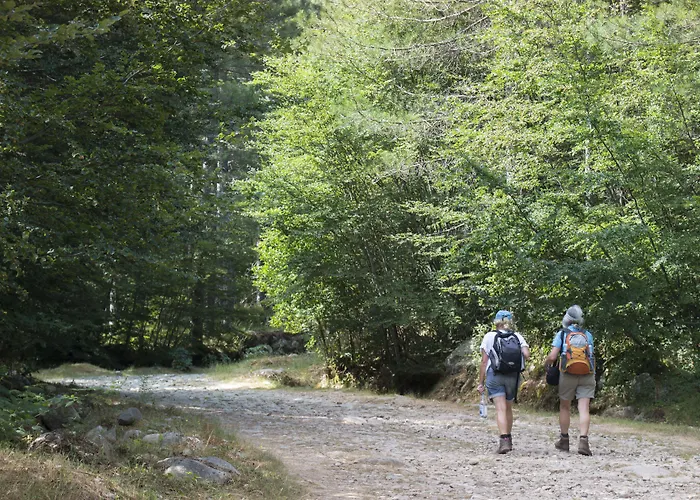 Restaurant U Castellu Hotel 3*