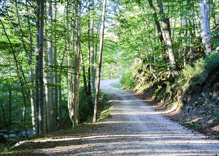 Restaurant U Castellu מלון 3*