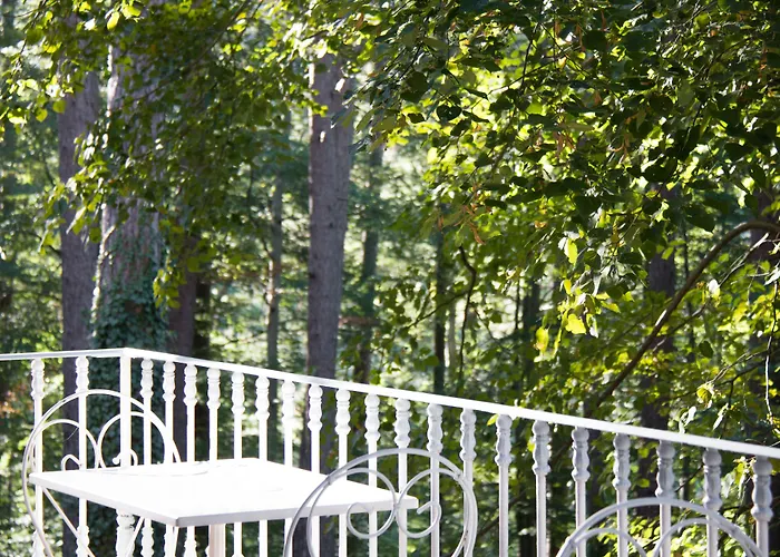 Restaurant U Castellu Hotel Vizzavona